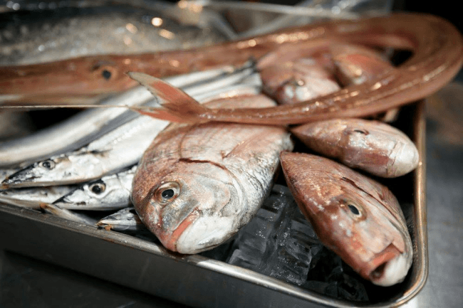 鮮魚で食育探究