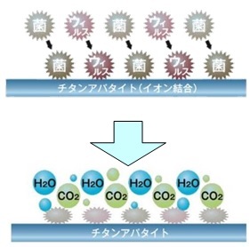 有害物質の分解イメージ