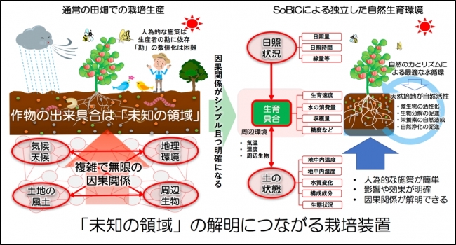 ＜環境変動要素を限定し因果関係を明確にした「自然生育環境」を創り出します＞