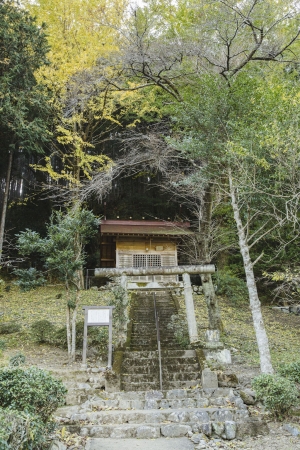 八坂神社