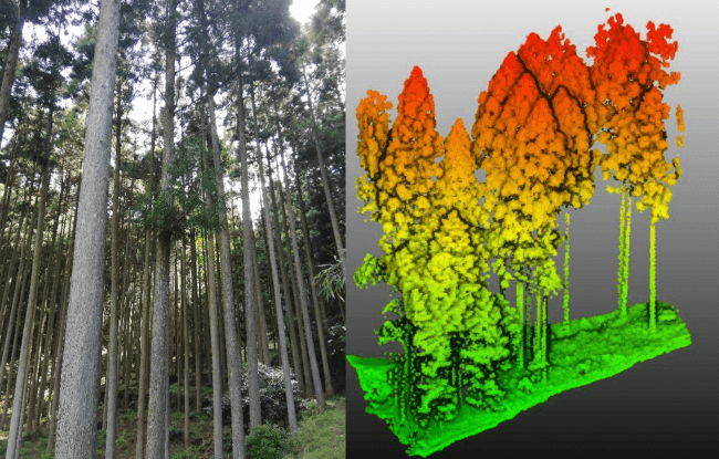 計測実施環境およびTerra Lidar（テラライダー）による樹木の点群取得状況