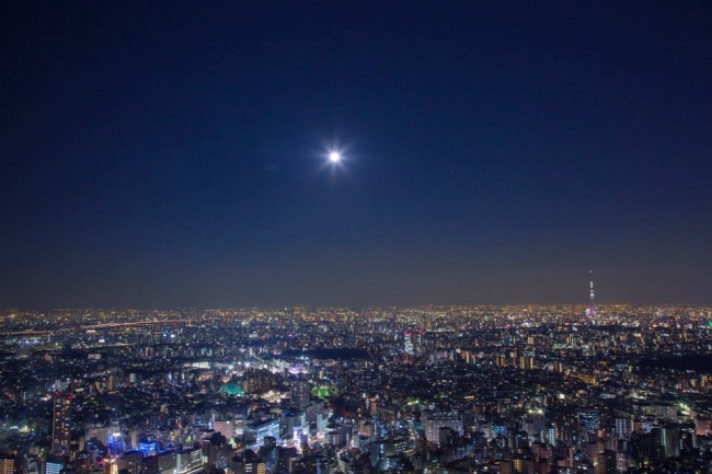 展望台からの夜景（※スーパームーンではありません。）