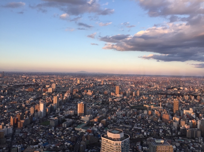 海抜251mから見られるマジックアワー時の風景