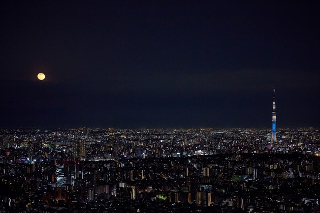 展望台からの夜景