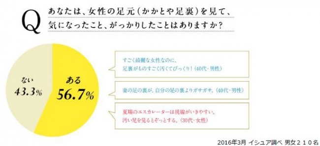 ご参考：過去調査