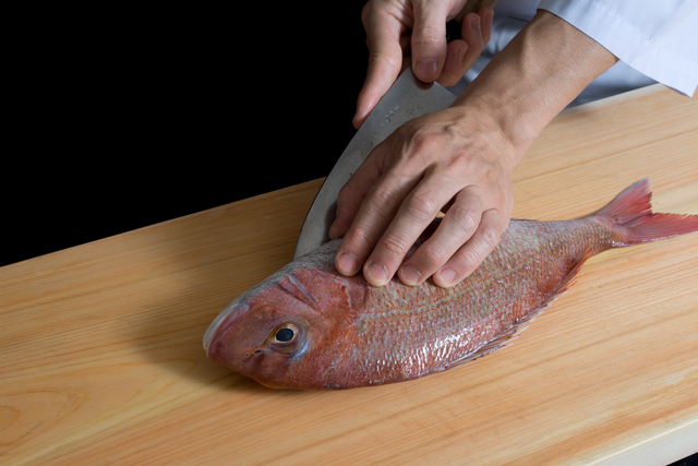 近海で取れた新鮮魚介で料理を堪能