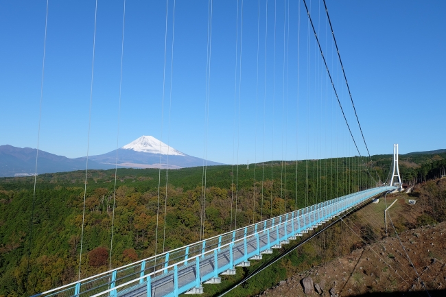 三島スカイウォーク