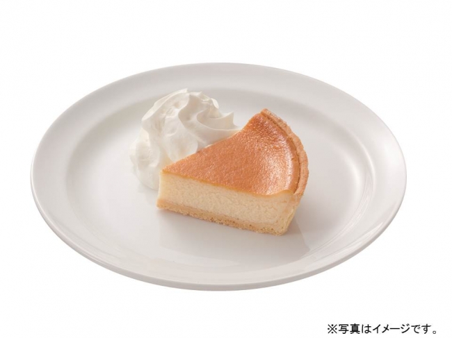 デンマーククリームチーズケーキ（ホイップクリーム付）