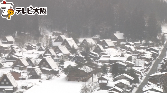 白川郷の茅葺集落に欠かせない「茅」の生産者。代々受継ぐ想い・・・。