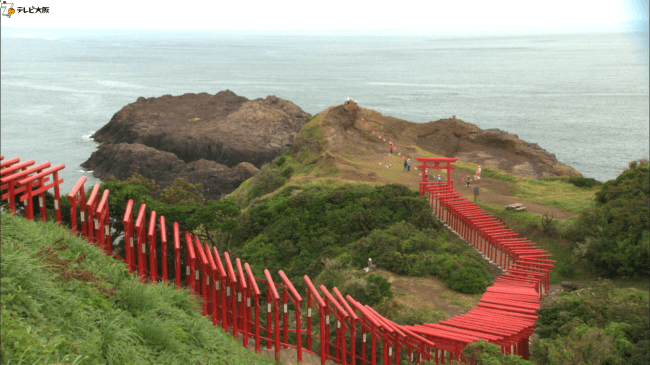 海外から注目を集める元乃隅神社には鳥居がずらり