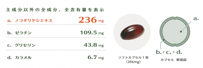 ノコギリヤシPURE 構成図