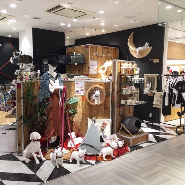 paw’s living新宿ミロード店