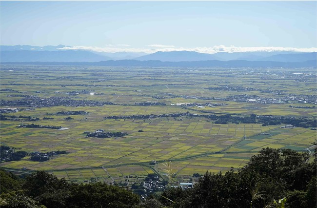 頂上から見える広大な越後平野