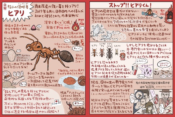 約13万RT、12万4000“いいね”がついた「ヒアリ」の図解（2017年7月8日投稿）