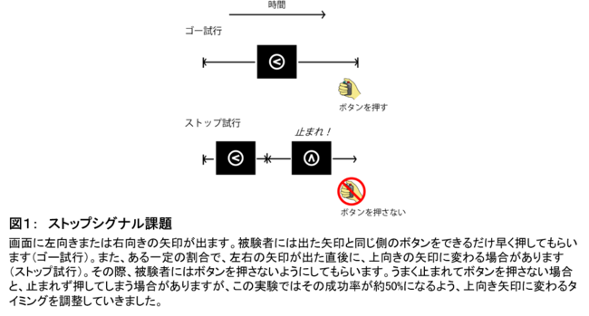 図１：　ストップシグナル課題