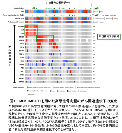 図１　 MSK-IMPACTを用いた高悪性骨肉腫のがん関連遺伝子の変化