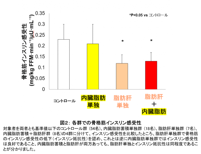 図２： 各群での骨格筋インスリン感受性