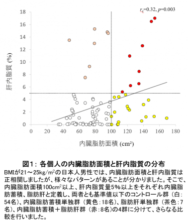 図１： 各個人の内臓脂肪面積と肝内脂質の分布