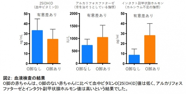 図２： 血液検査の結果