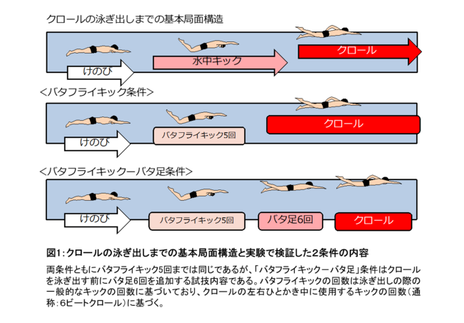 図1：クロールの泳ぎ出しまでの基本局面構造と実験で検証した２条件の内容