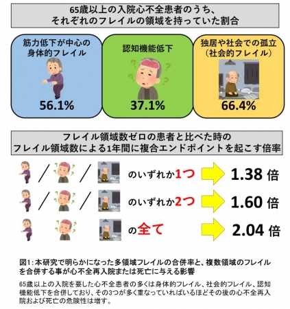 図1：本研究で明らかになった多領域フレイルの合併率と、複数領域のフレイルを合併する事が心不全再入院または死亡に与える影響