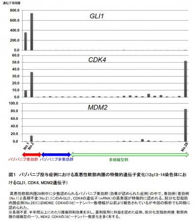 図１　パゾパニブ投与症例における高悪性軟部肉腫の特徴的遺伝子変化(12q13-14染色体におけるGLI1, CDK4, MDM2遺伝子)