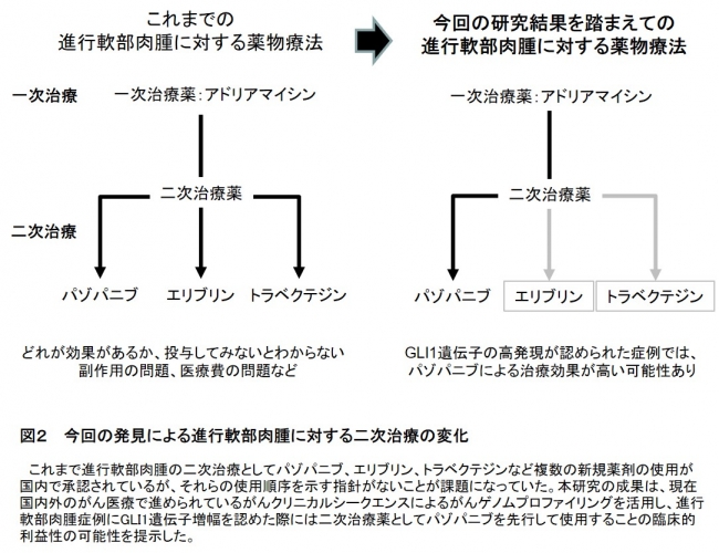 図２　 今回の発見による進行軟部肉腫に対する二次治療の変化