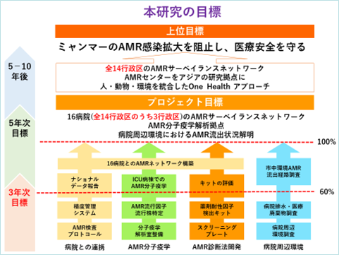 プロジェクト ロードマップ （予定）