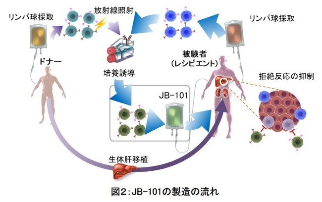 図２：JB-101の製造の流れ