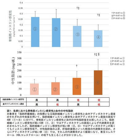  図１： 各群における骨格筋インスリン感受性と血中の中性脂肪