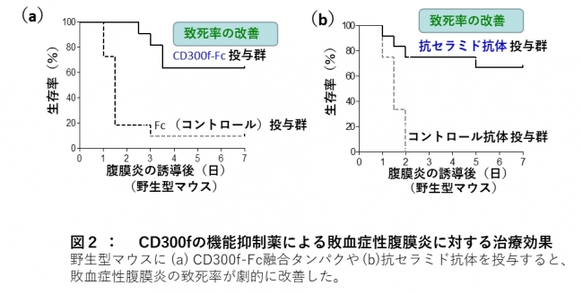 図２：CD300fの機能抑制薬による敗血症性腹膜炎に対する治療効果