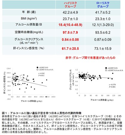 図１：アルコールに強い遺伝子型を持つ日本人男性の代謝的特徴　