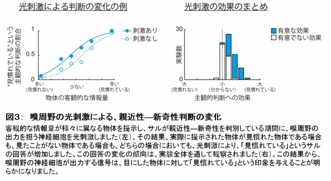 図３：　嗅周野の光刺激による、親近性―新奇性判断の変化