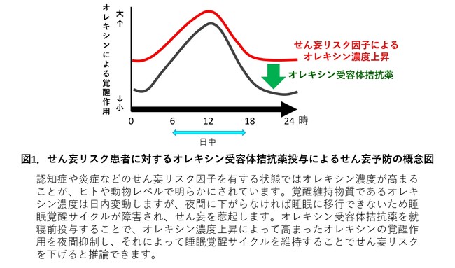 図1．せん妄リスク患者に対するオレキシン受容体拮抗薬投与によるせん妄予防の概念図