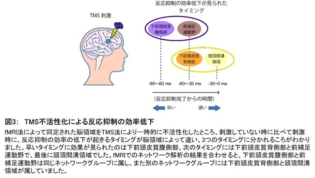 図3：　TMS不活性化による反応抑制の効率低下