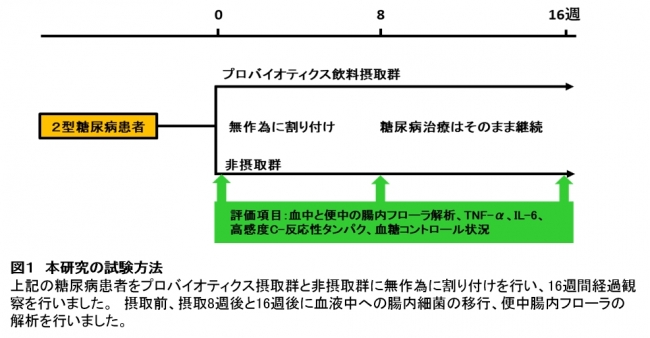 図１　本研究の試験方法　