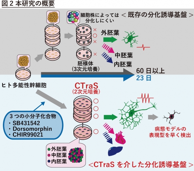 図２ 本研究の概要