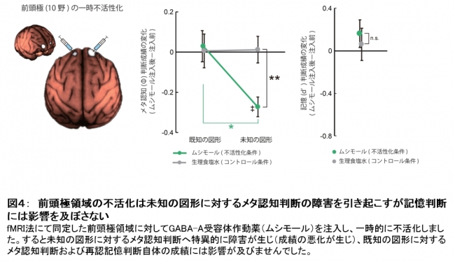 図４：　前頭極領域の不活化は未知の図形に対するメタ認知判断の障害を引き起こすが記憶判断には影響を及ぼさない