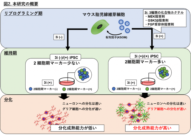 図２．本研究の概要