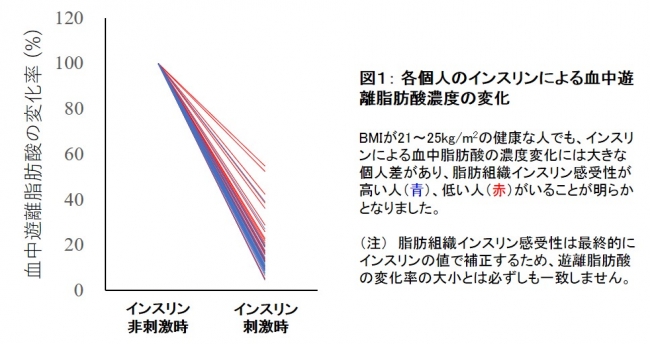 図１： 各個人のインスリンによる血中遊離脂肪酸濃度の変化