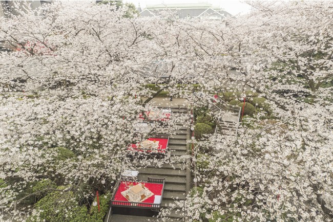 ザ・プリンス さくらタワー東京　桜桟敷席