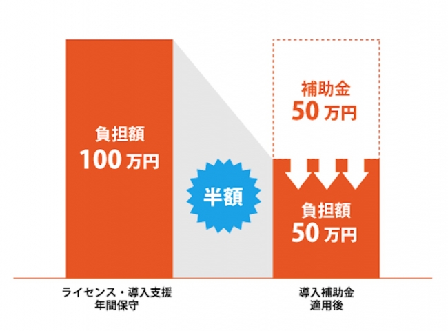 SWANStorの導入で最大50万円補助！