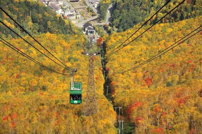 黒岳の紅葉（過去の写真です）