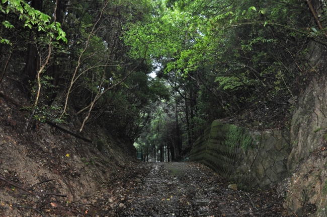 早く立ち去りたいと思った和歌山県・香ノ塔峠