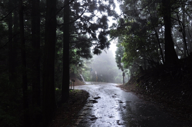 神々しい雰囲気で幻想的な峠。和歌山県・コカシ峠