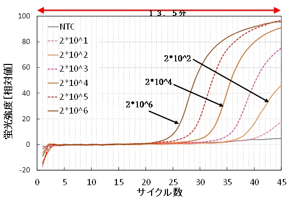 図５　ノロウイルス試薬での測定例