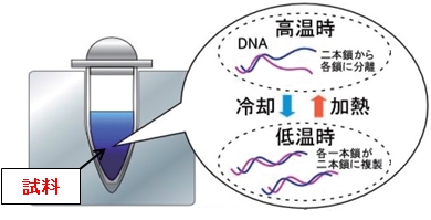 図1　従来のＰＣＲ装置の温度制御法