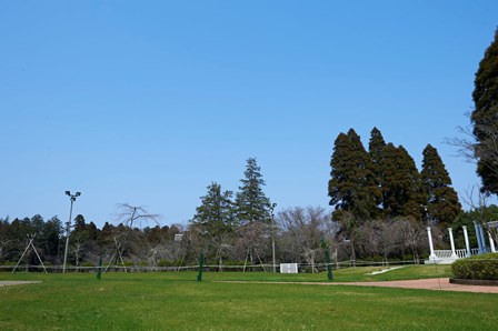 会場となるホテル中庭・芝生広場