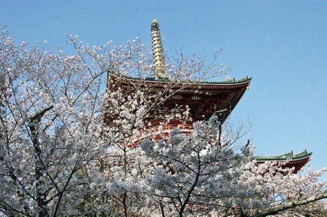 成田山公園