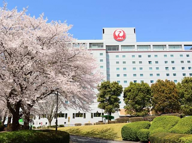 「サクラ咲くディナープラン」　ホテルの周囲には100本の桜